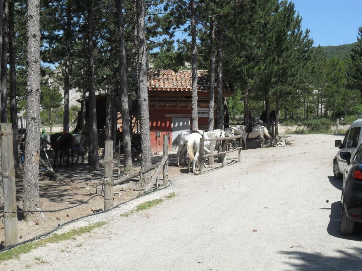 Bienvenidos A Vuestra Casa! Appartement Sansoáin Buitenkant foto
